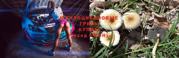 метамфетамин Гусев